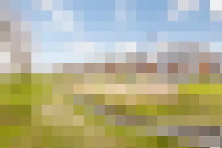 Etudestraat 25 Rosmalen thumbnail 57