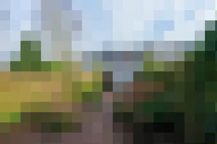 Etudestraat 56 Nijmegen thumbnail 31