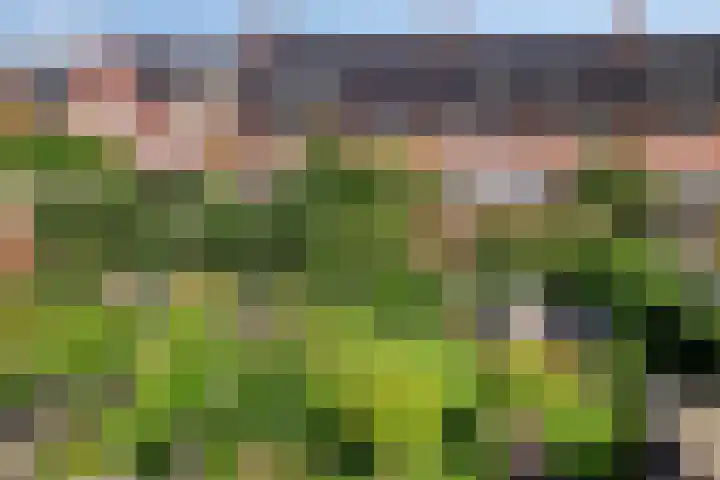 Etudestraat 6 Rosmalen thumbnail 23
