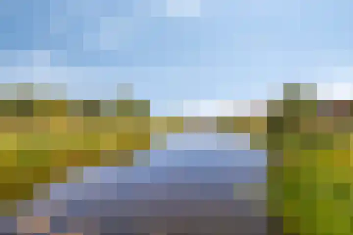 Etudestraat 6 Rosmalen thumbnail 25