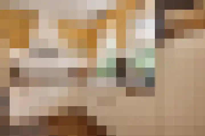 Etzenraderstraat 5 Jabeek thumbnail 10