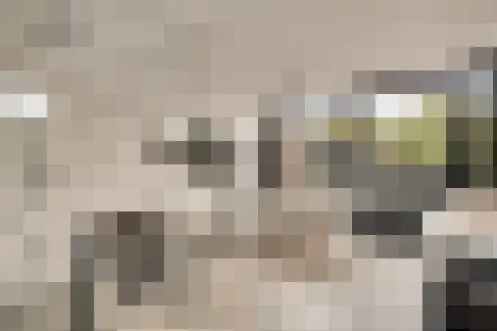 Etzenraderstraat 5 Jabeek thumbnail 20
