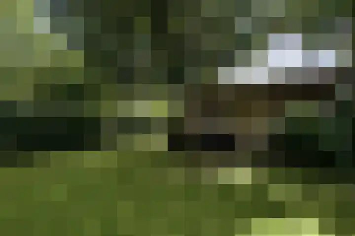 Etzenraderstraat 5 Jabeek thumbnail 32