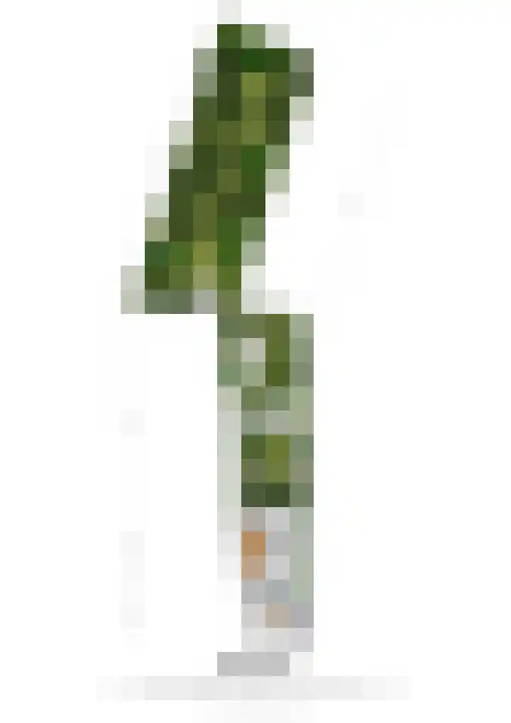 Etzenraderstraat 5 Jabeek thumbnail 35