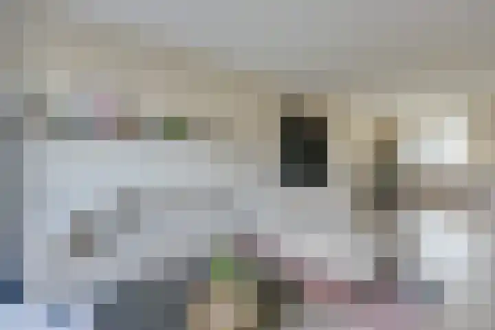 Eucalyptastraat 15 Almere thumbnail 10