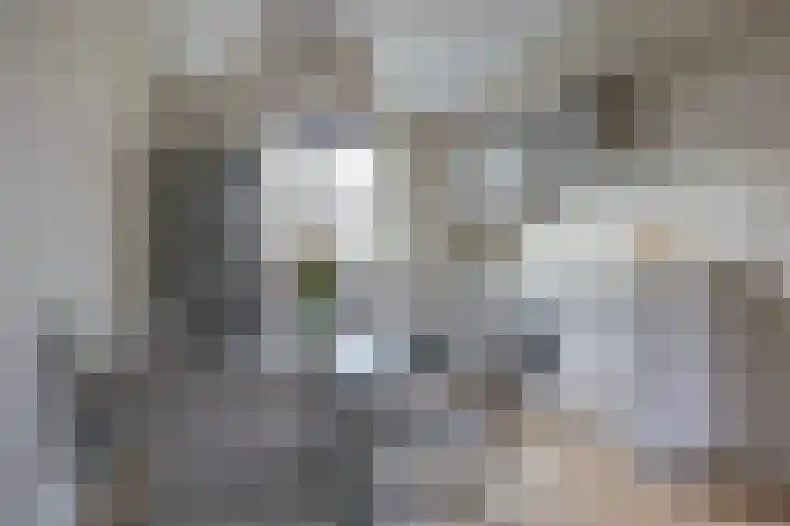 Eucalyptastraat 15 Almere thumbnail 13