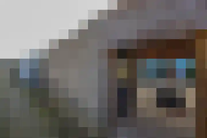 Eucalyptastraat 15 Almere thumbnail 41