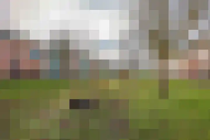 Eucalyptastraat 15 Almere thumbnail 46