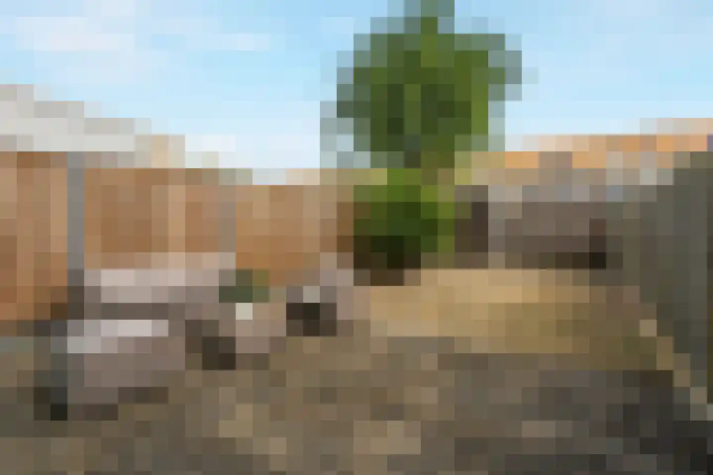 Eucalyptastraat 25 Almere thumbnail 35