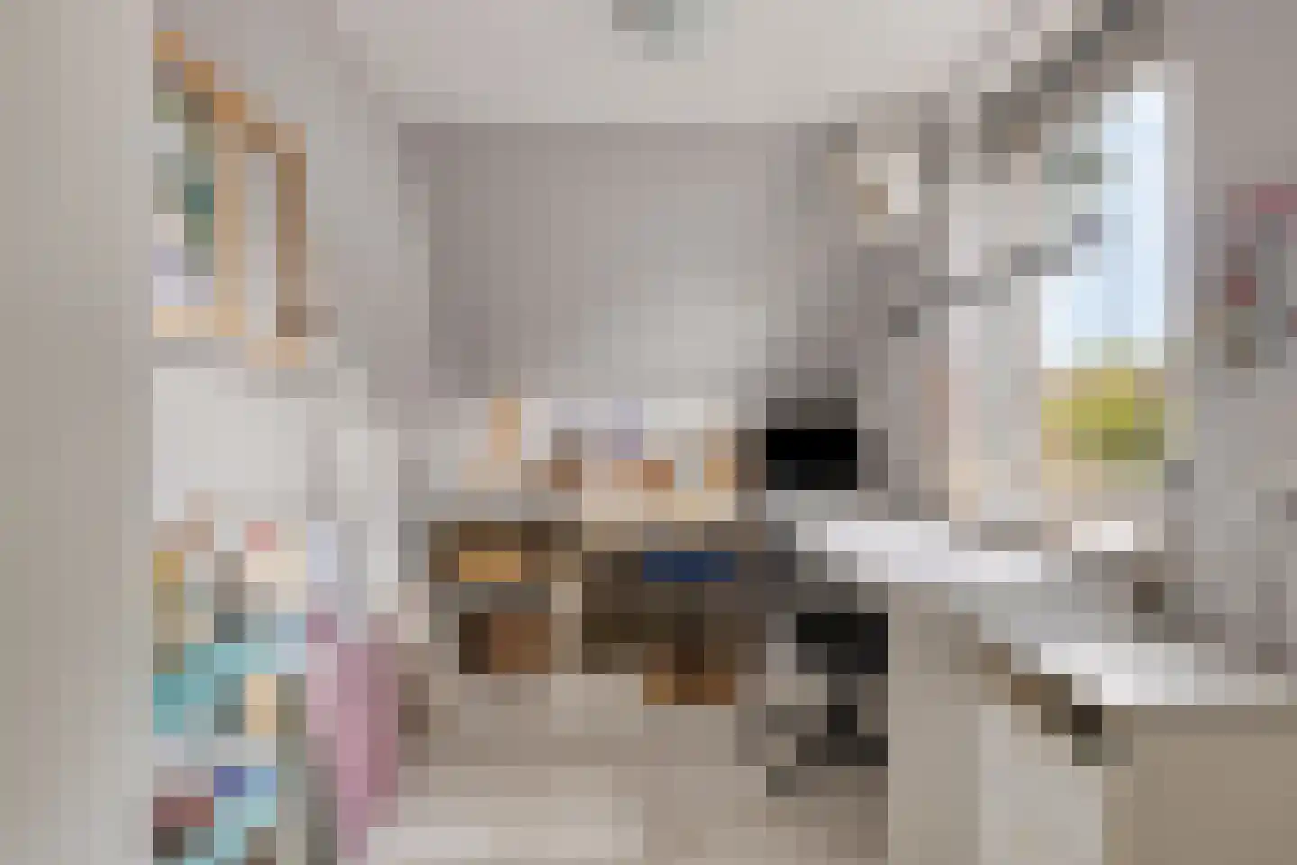 Eufraatstraat 13 Alkmaar thumbnail 26