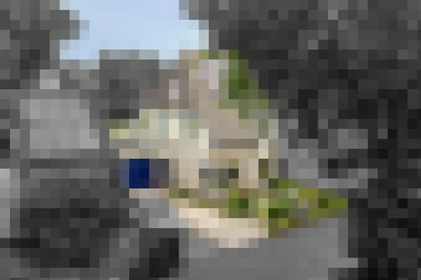 Eufraatstraat 13 Alkmaar thumbnail 36