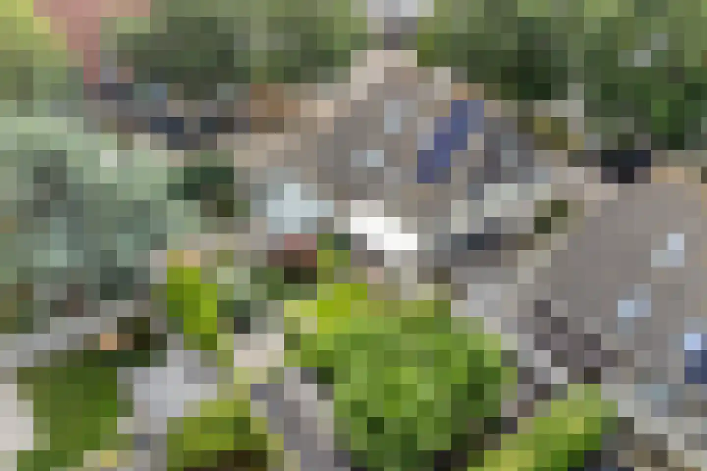 Eufraatstraat 13 Alkmaar thumbnail 38