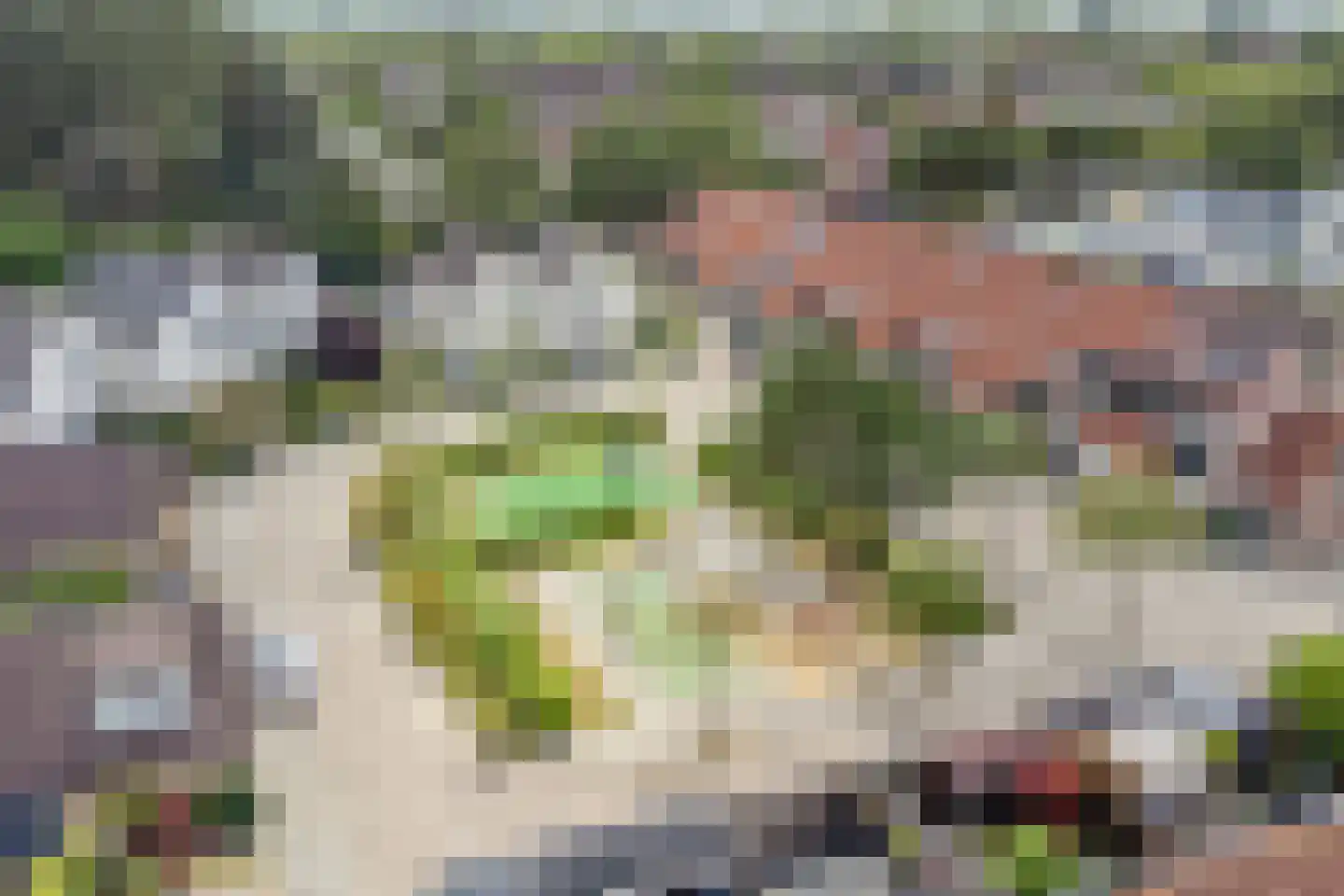 Eufraatstraat 13 Alkmaar thumbnail 44