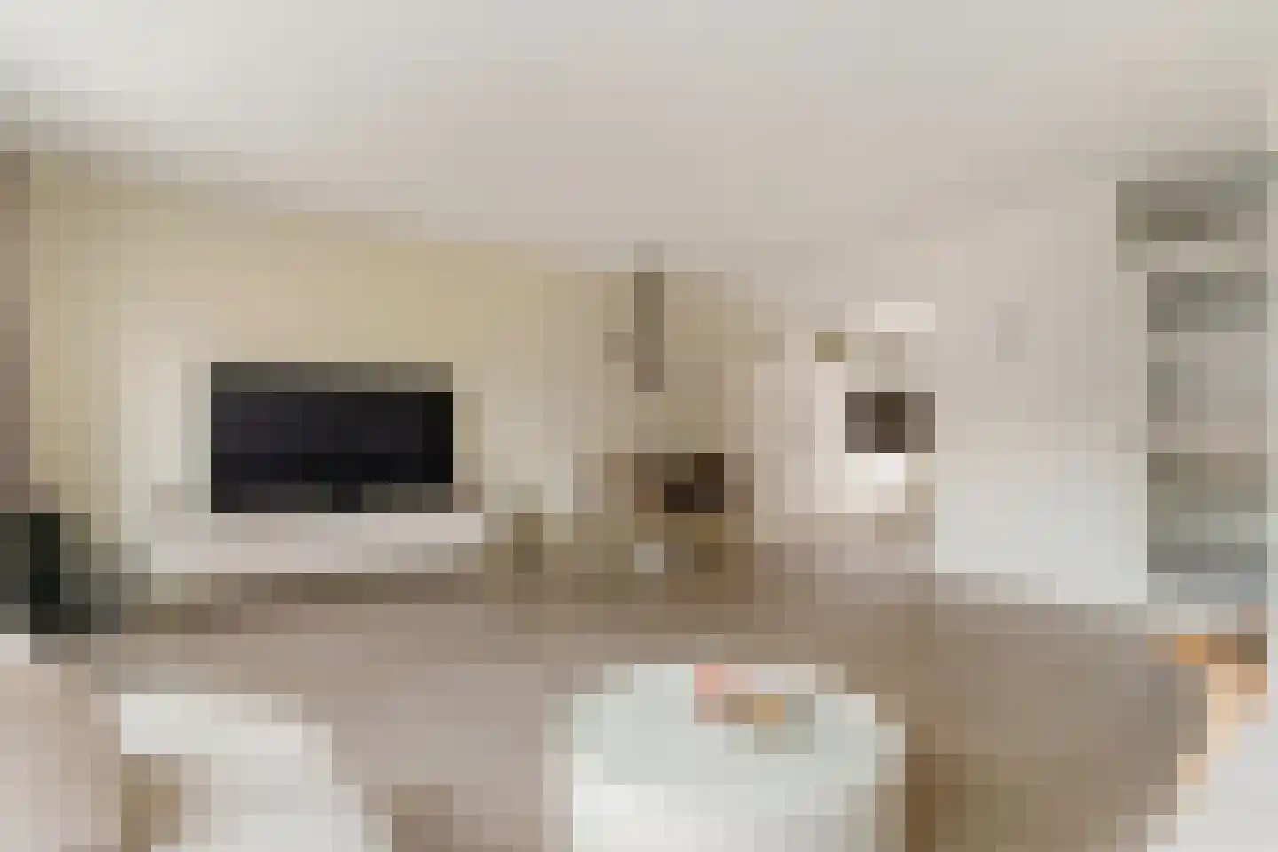 Eufraatstraat 15 Spijkenisse thumbnail 10