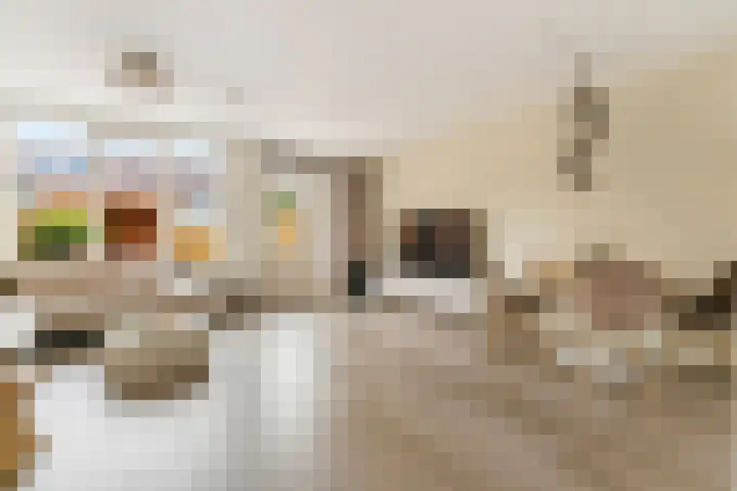 Eufraatstraat 15 Spijkenisse thumbnail 12