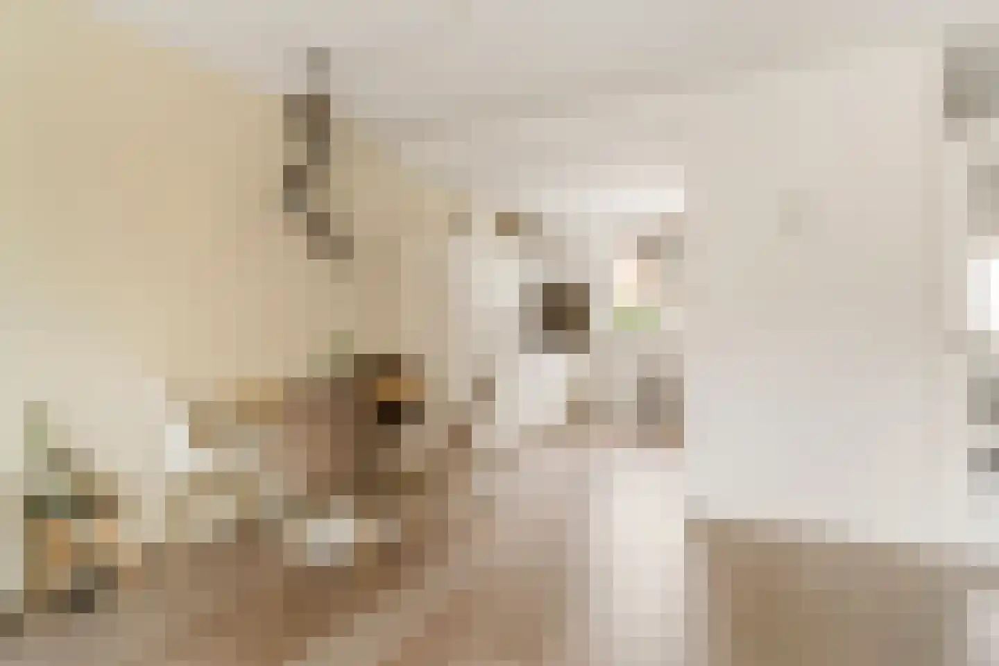 Eufraatstraat 15 Spijkenisse thumbnail 13