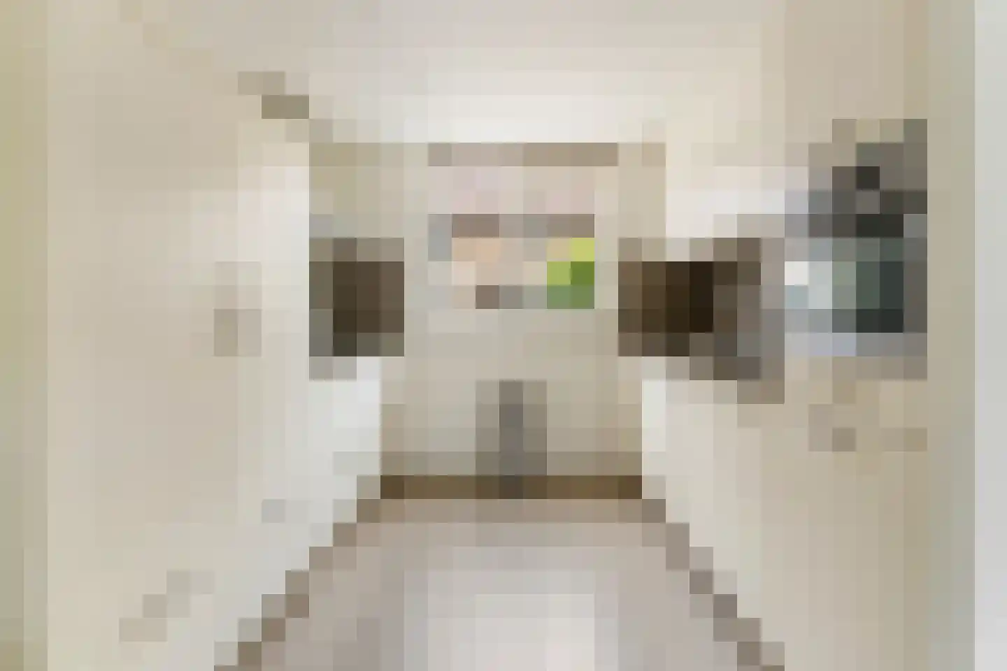 Eufraatstraat 15 Spijkenisse thumbnail 14