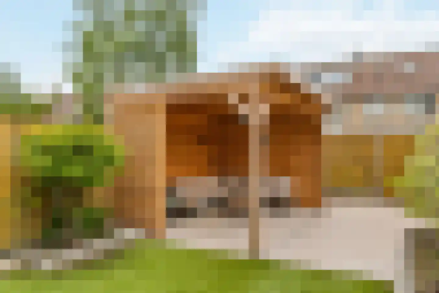 Eufraatstraat 15 Spijkenisse thumbnail 20