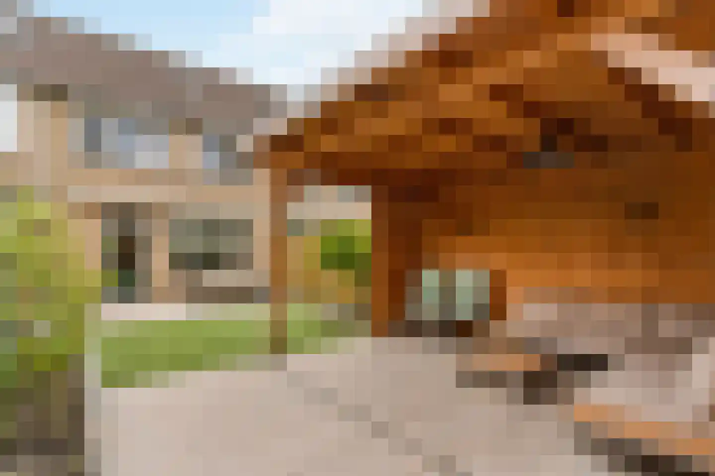 Eufraatstraat 15 Spijkenisse thumbnail 21