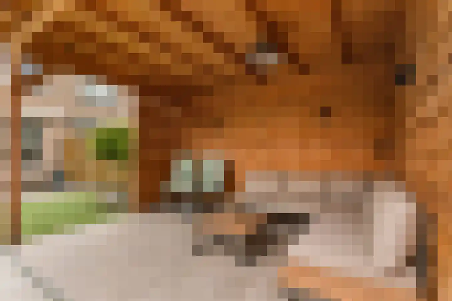 Eufraatstraat 15 Spijkenisse thumbnail 22