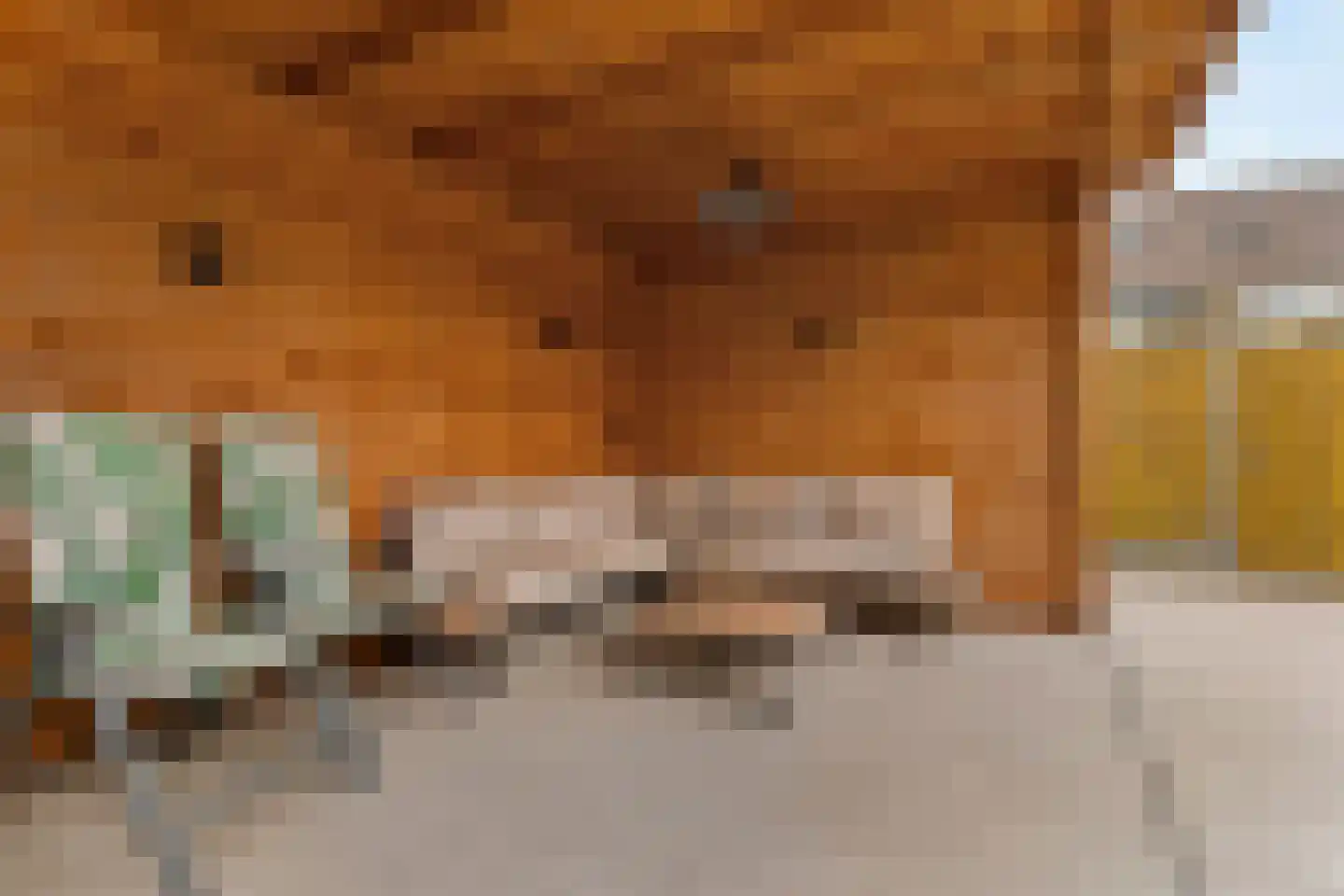 Eufraatstraat 15 Spijkenisse thumbnail 23