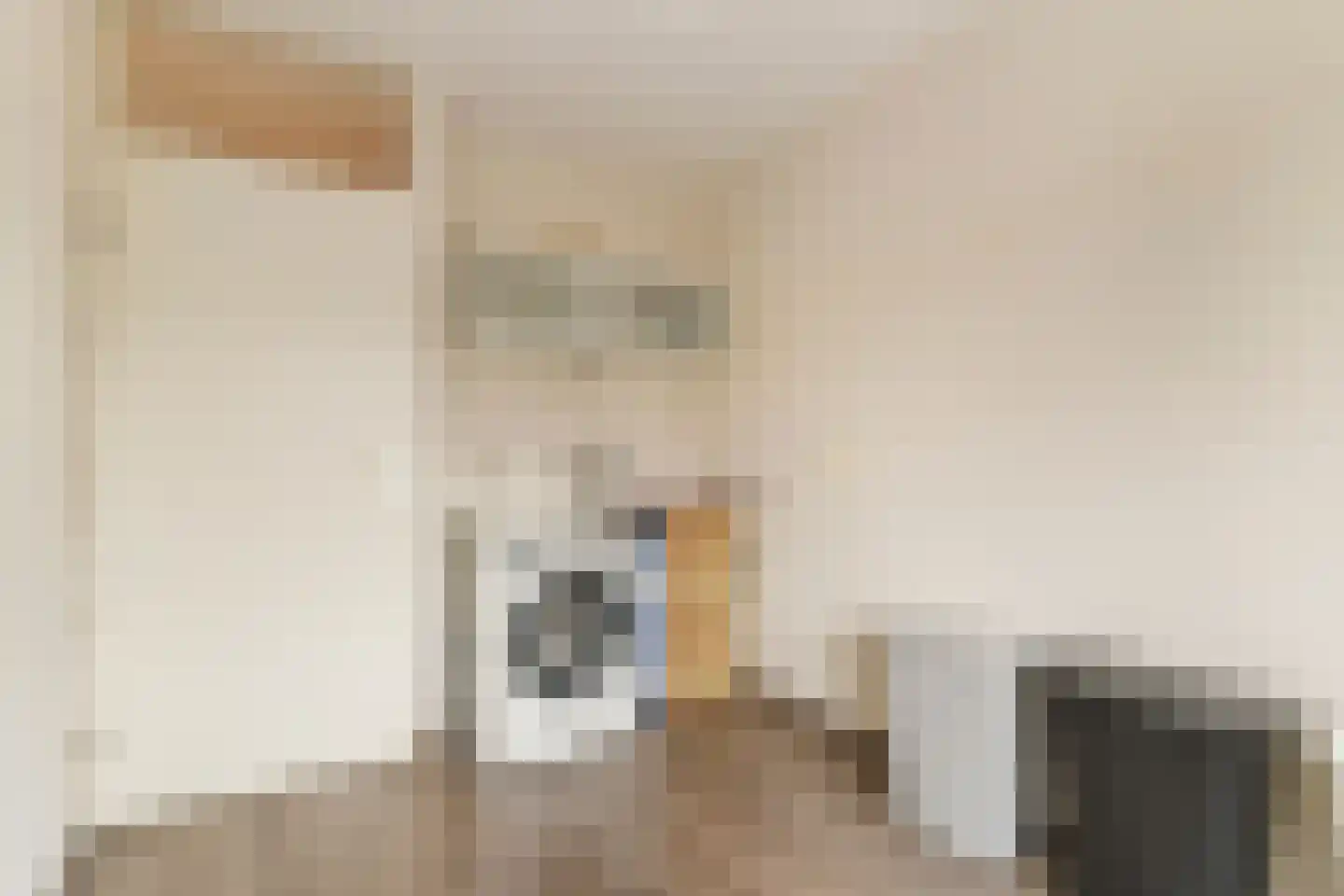 Eufraatstraat 15 Spijkenisse thumbnail 30