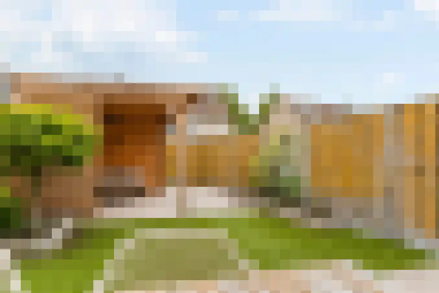 Eufraatstraat 15 Spijkenisse thumbnail 4
