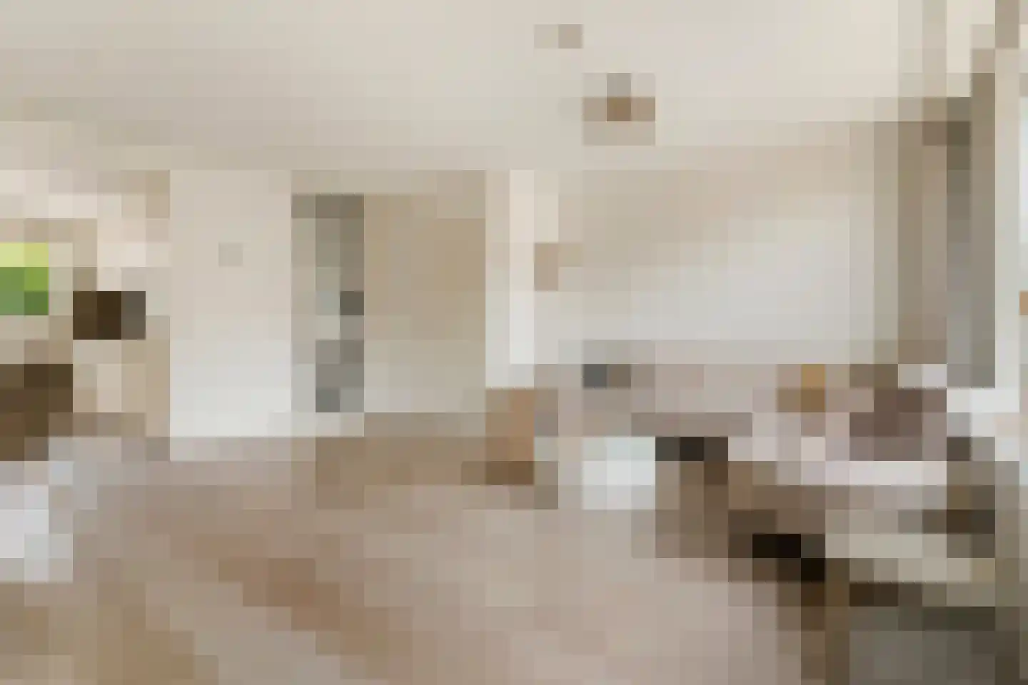 Eufraatstraat 15 Spijkenisse thumbnail 9