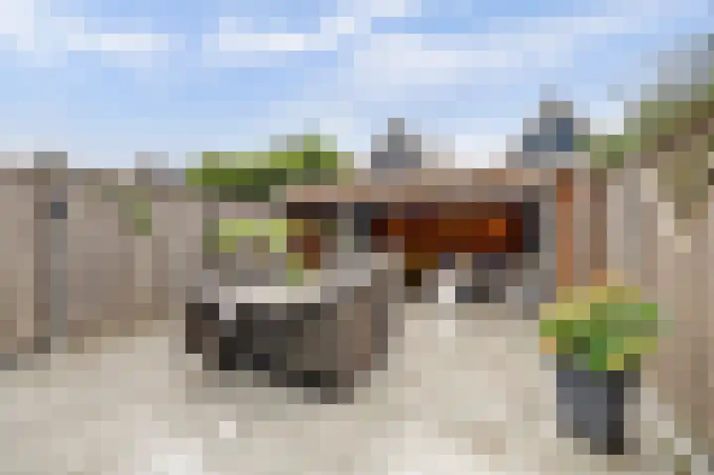 Eufraatstraat 24 Spijkenisse thumbnail 15