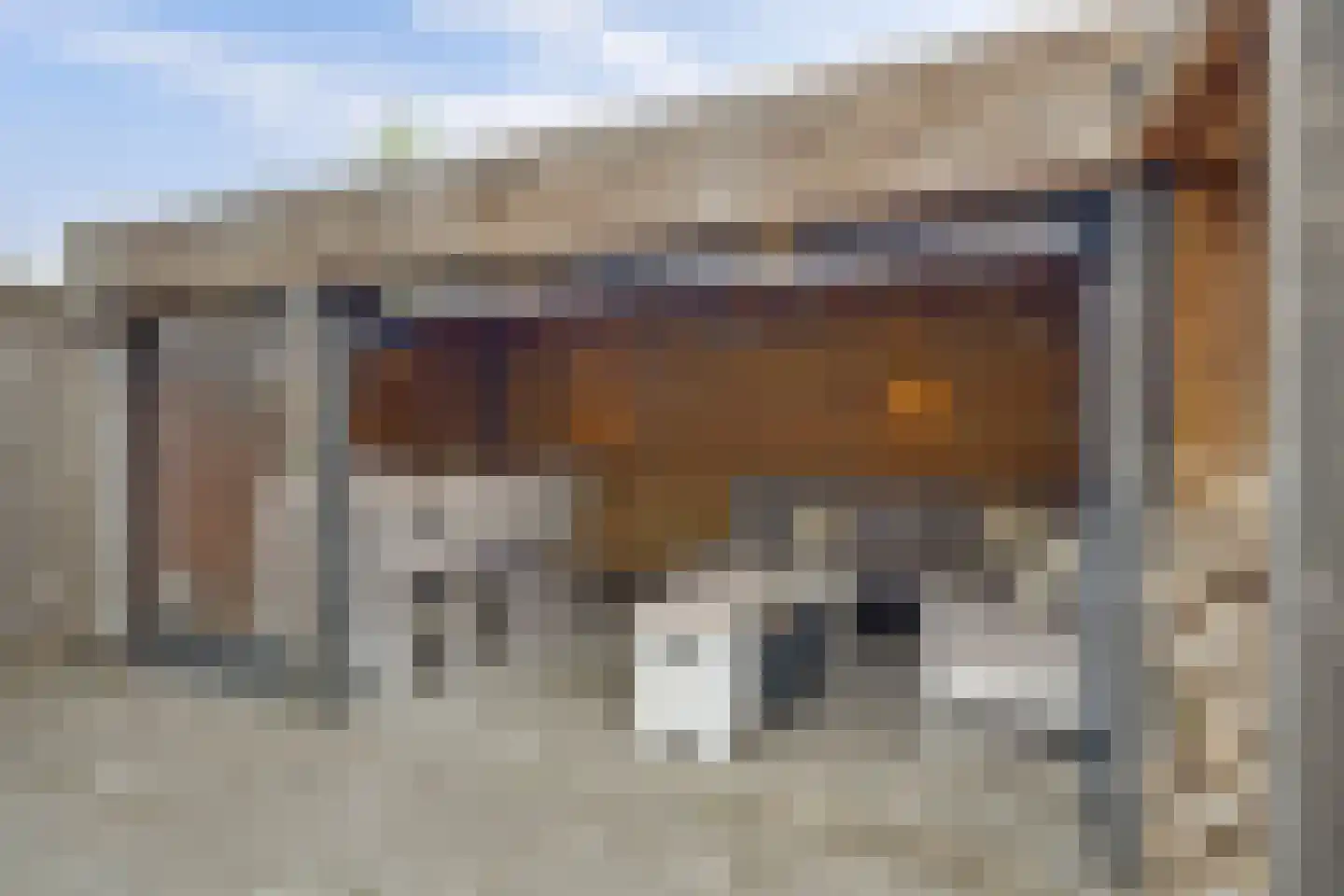 Eufraatstraat 24 Spijkenisse thumbnail 16