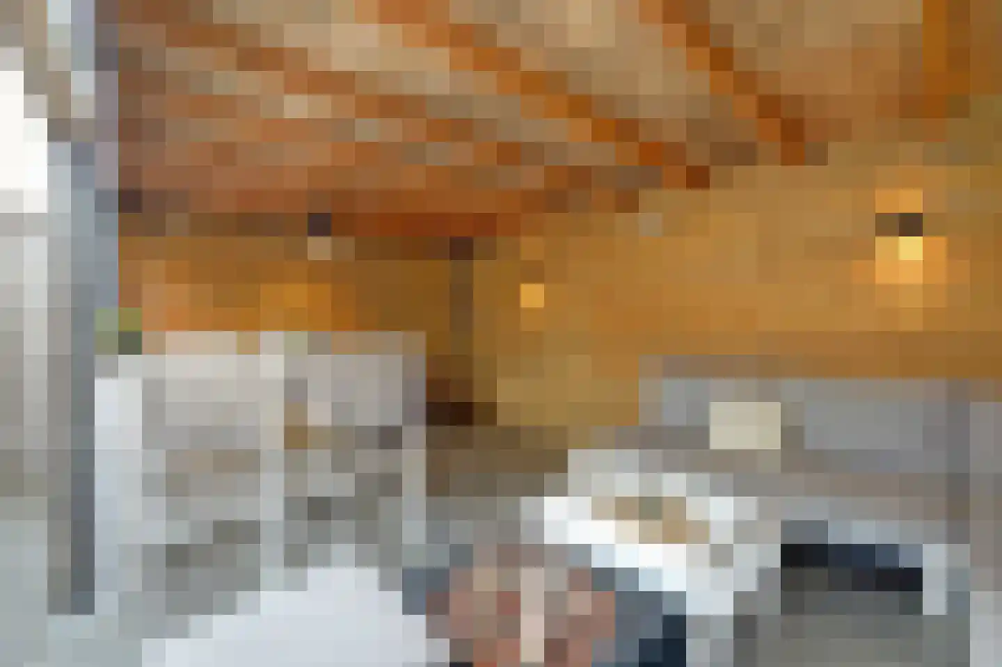 Eufraatstraat 24 Spijkenisse thumbnail 18