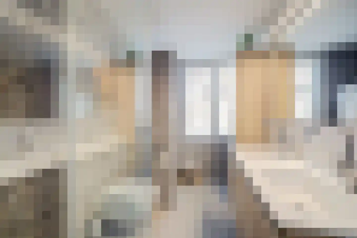 Eufraatstraat 24 Spijkenisse thumbnail 22