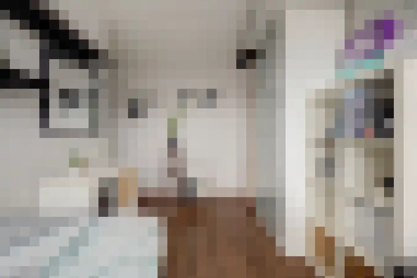 Eufraatstraat 24 Spijkenisse thumbnail 28