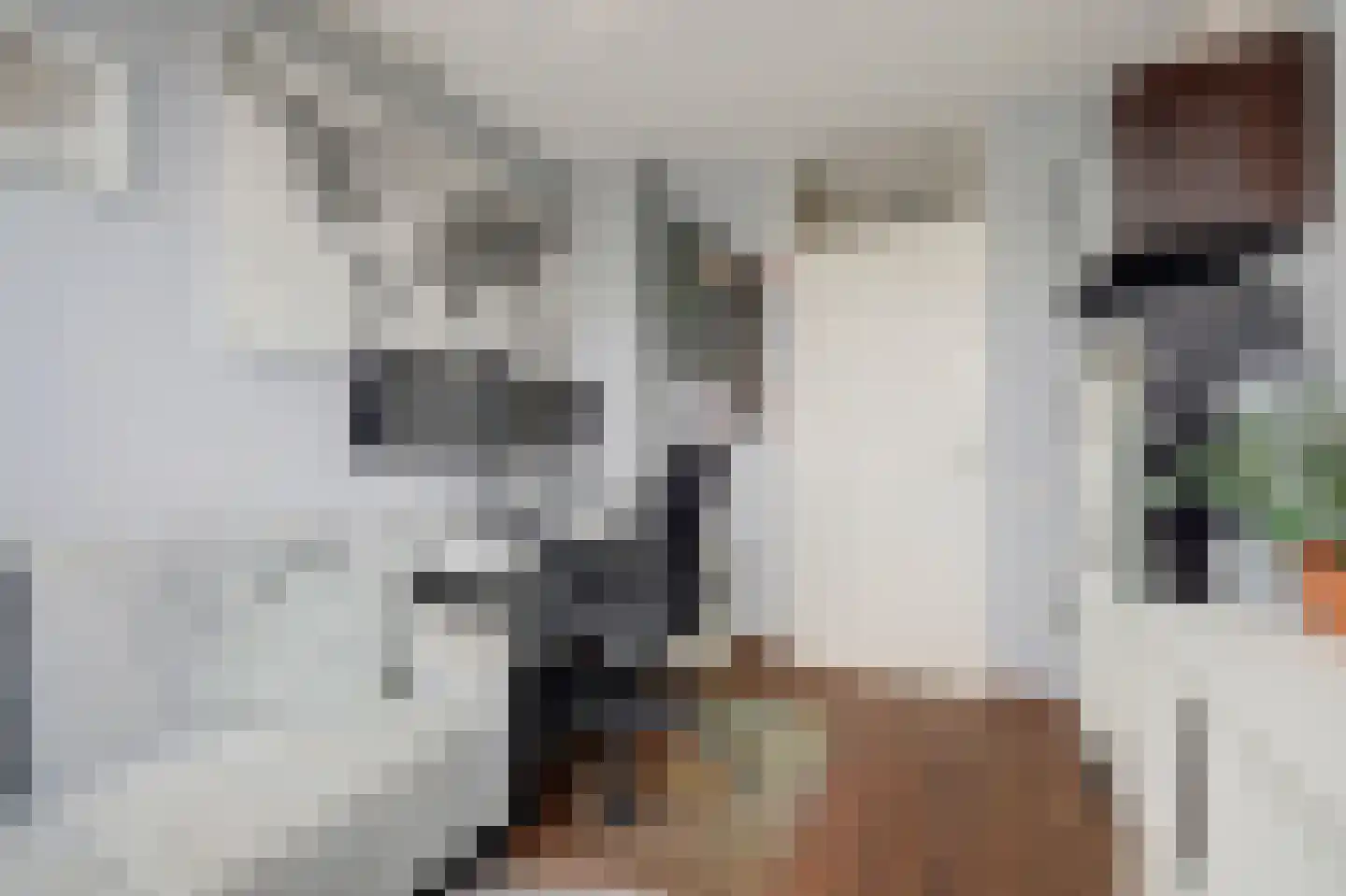 Eufraatstraat 24 Spijkenisse thumbnail 30