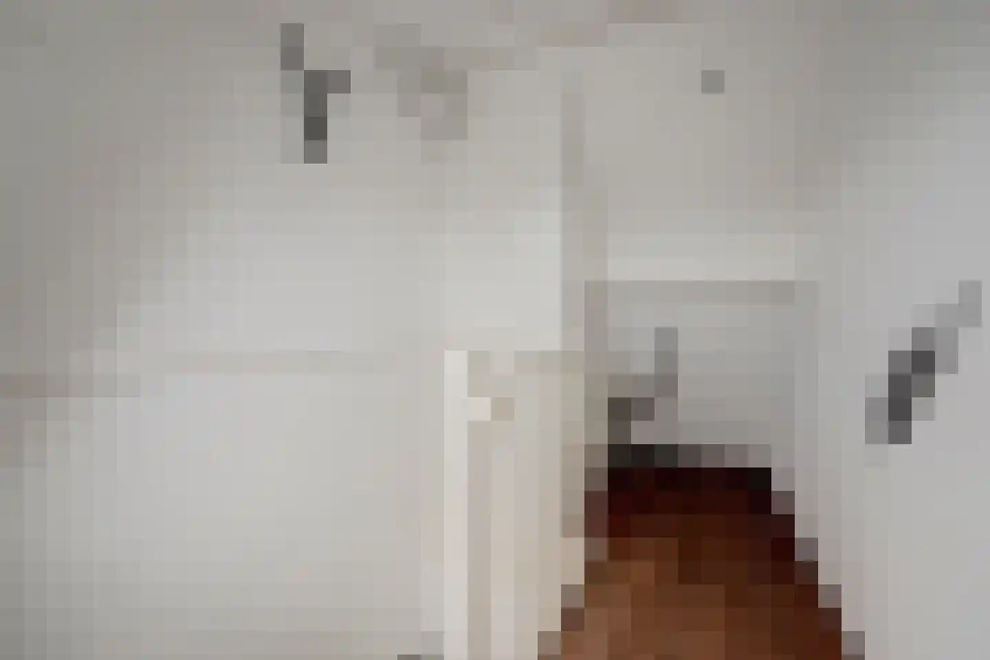 Eufraatstraat 24 Spijkenisse thumbnail 31