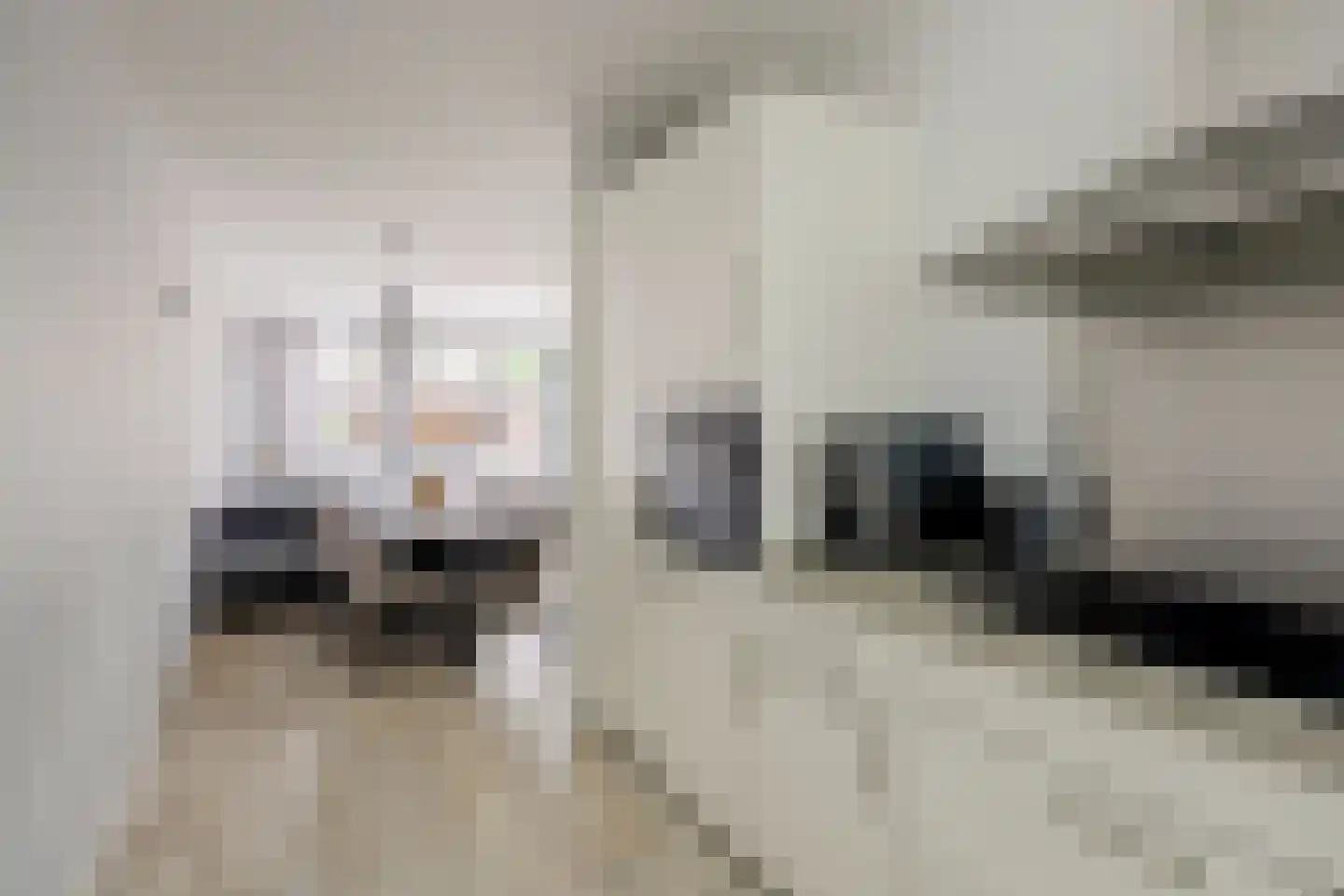 Eufraatstraat 24 Spijkenisse thumbnail 5