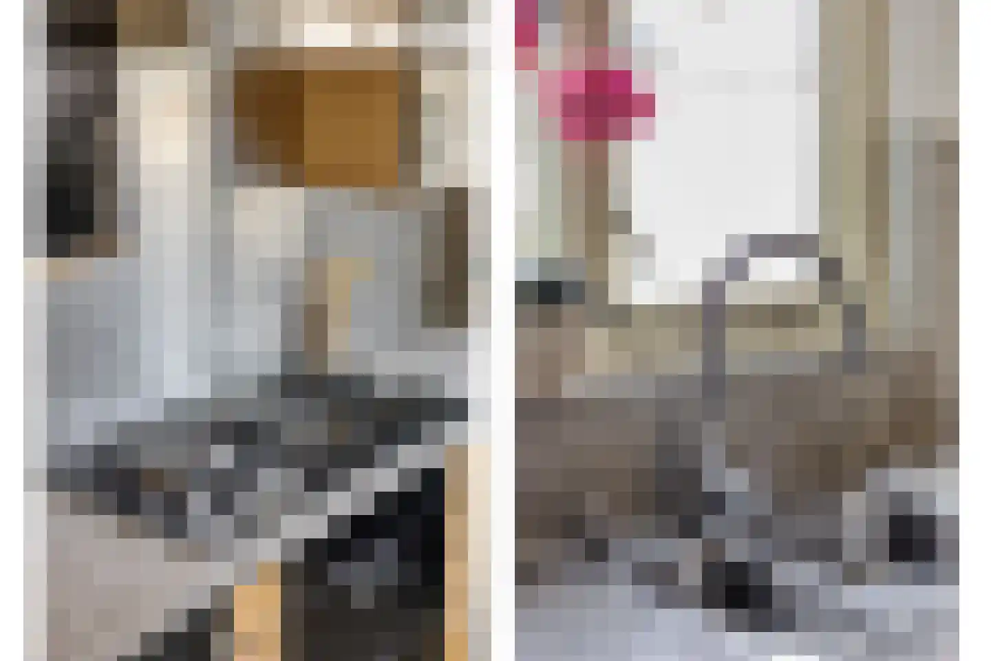 Eufraatstraat 4 Spijkenisse thumbnail 10