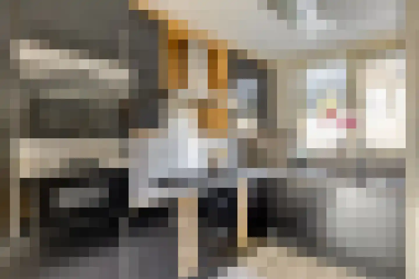Eufraatstraat 4 Spijkenisse thumbnail 12