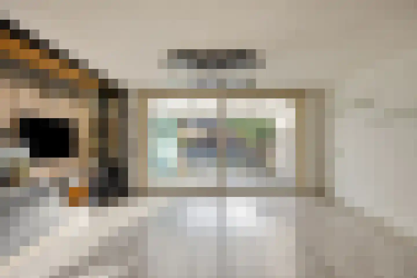 Eufraatstraat 4 Spijkenisse thumbnail 15