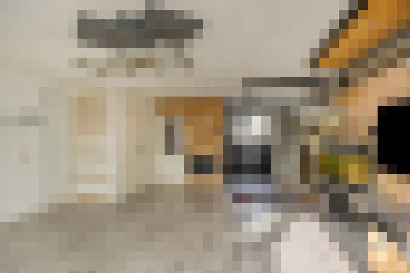 Eufraatstraat 4 Spijkenisse thumbnail 17