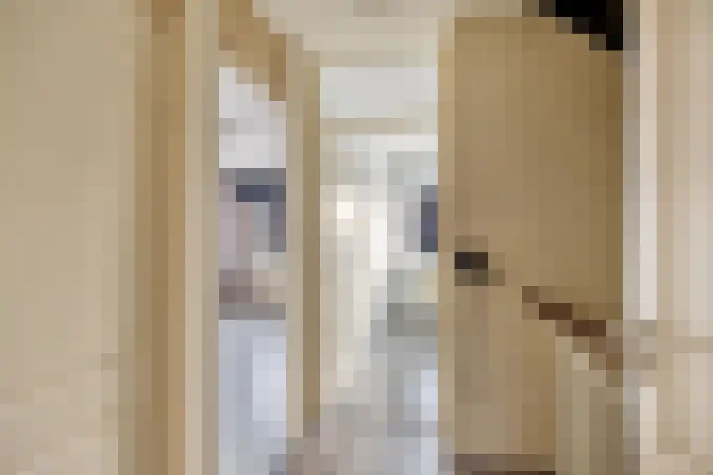 Eufraatstraat 4 Spijkenisse thumbnail 20