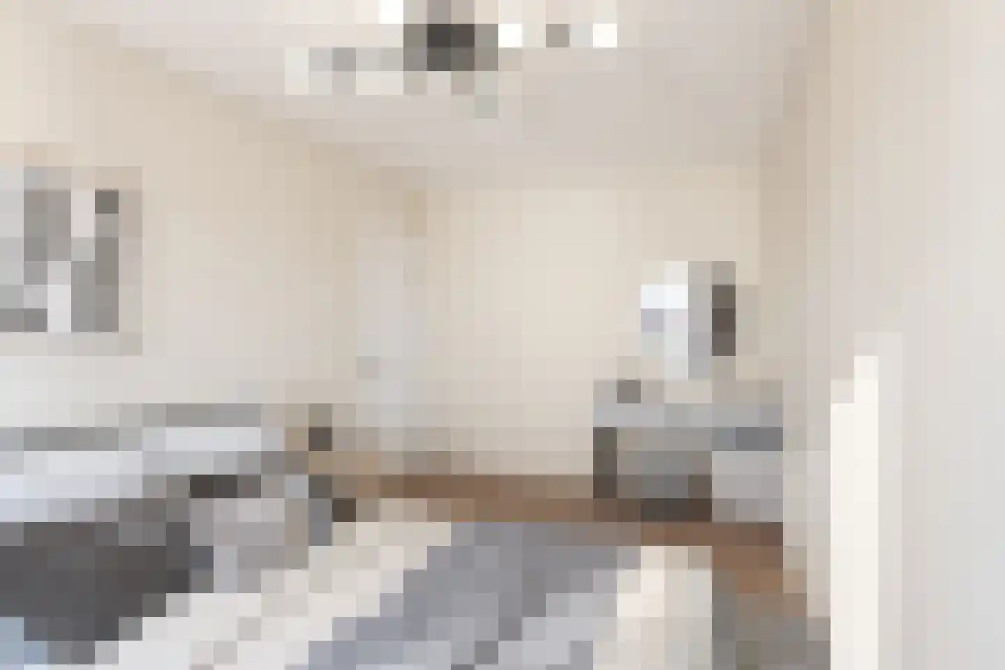 Eufraatstraat 4 Spijkenisse thumbnail 24