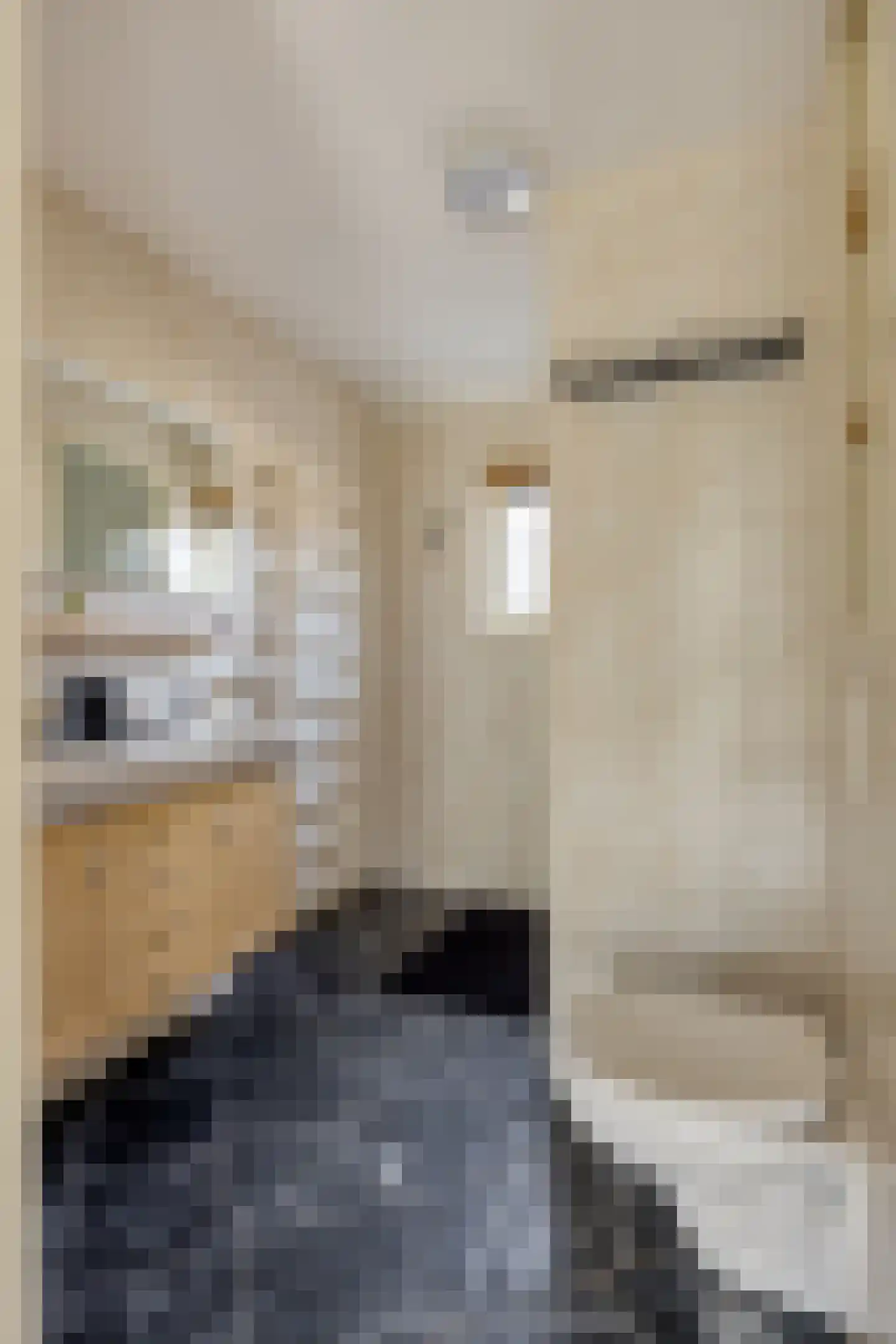 Eufraatstraat 4 Spijkenisse thumbnail 35