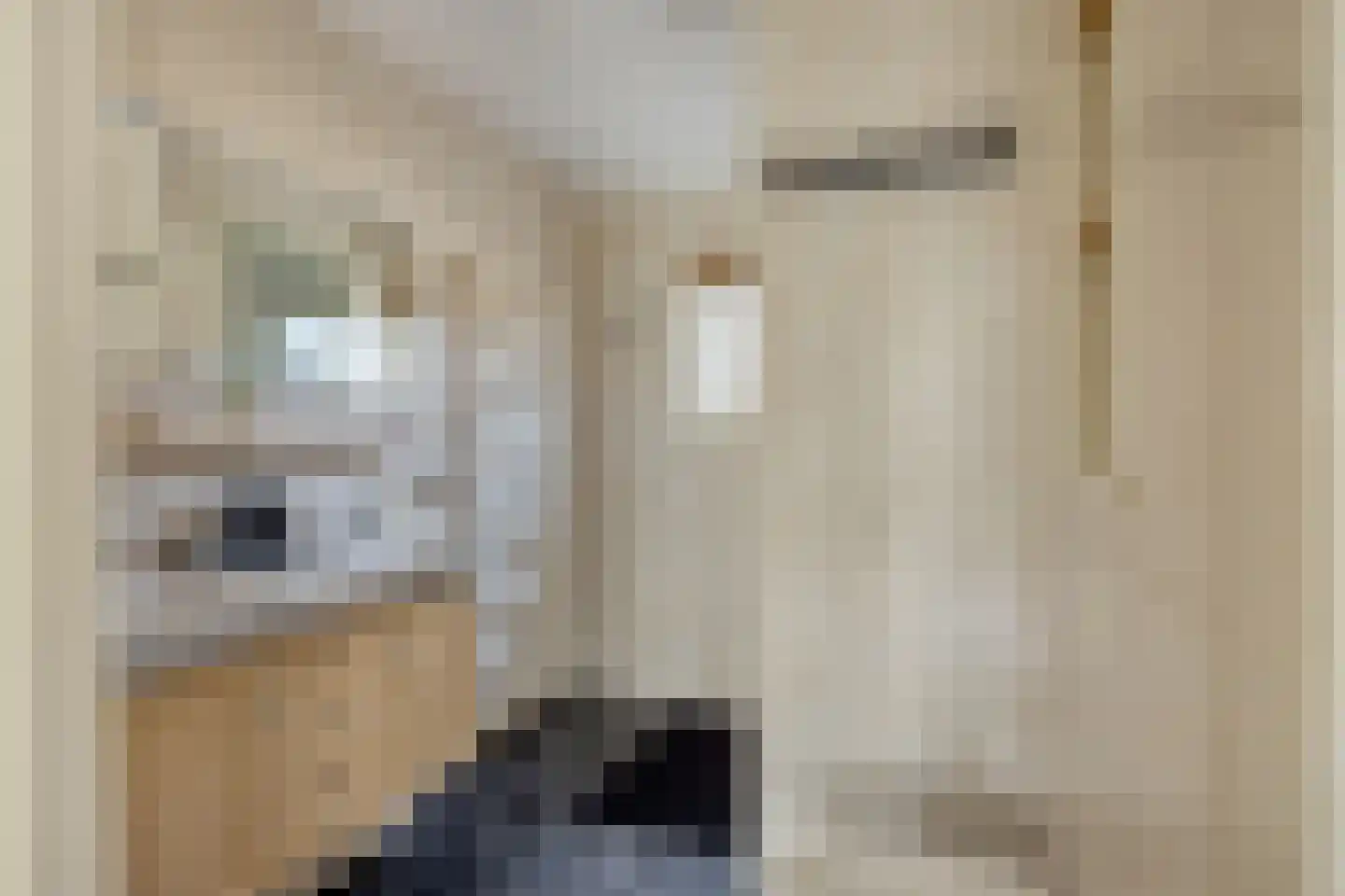 Eufraatstraat 4 Spijkenisse thumbnail 37