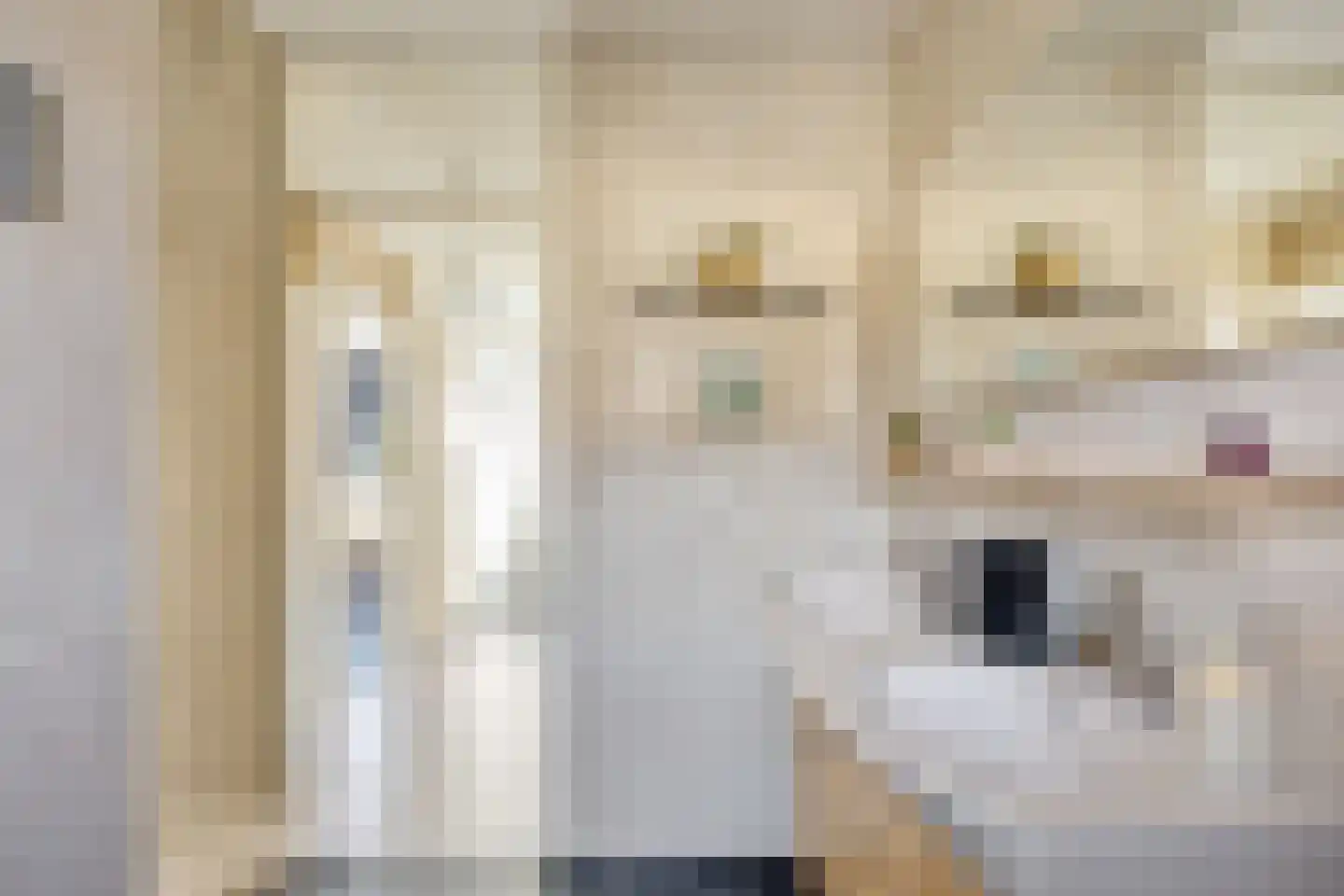 Eufraatstraat 4 Spijkenisse thumbnail 38