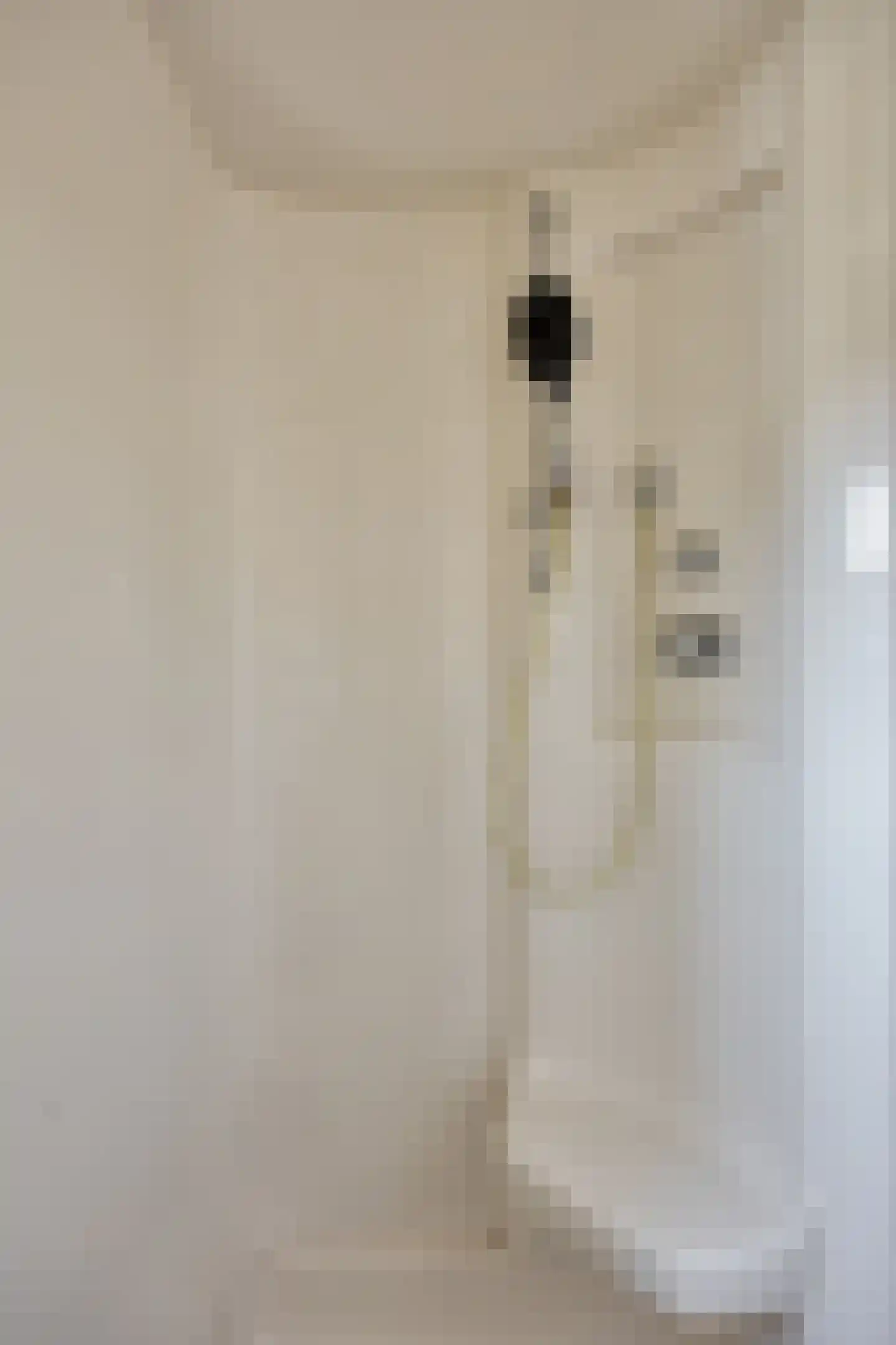 Eufraatstraat 4 Spijkenisse thumbnail 39