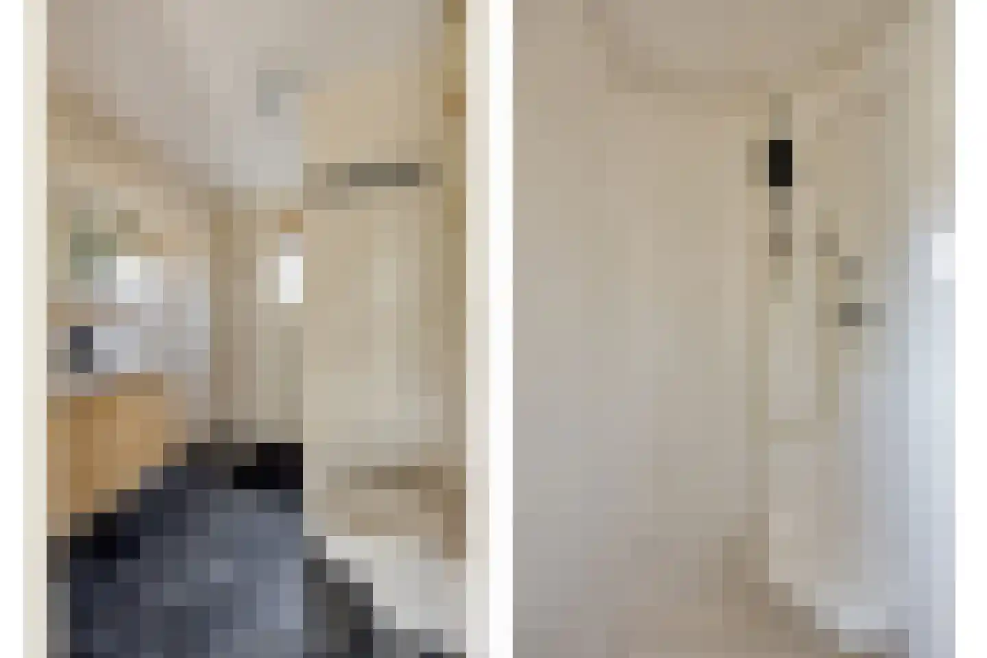 Eufraatstraat 4 Spijkenisse thumbnail 40