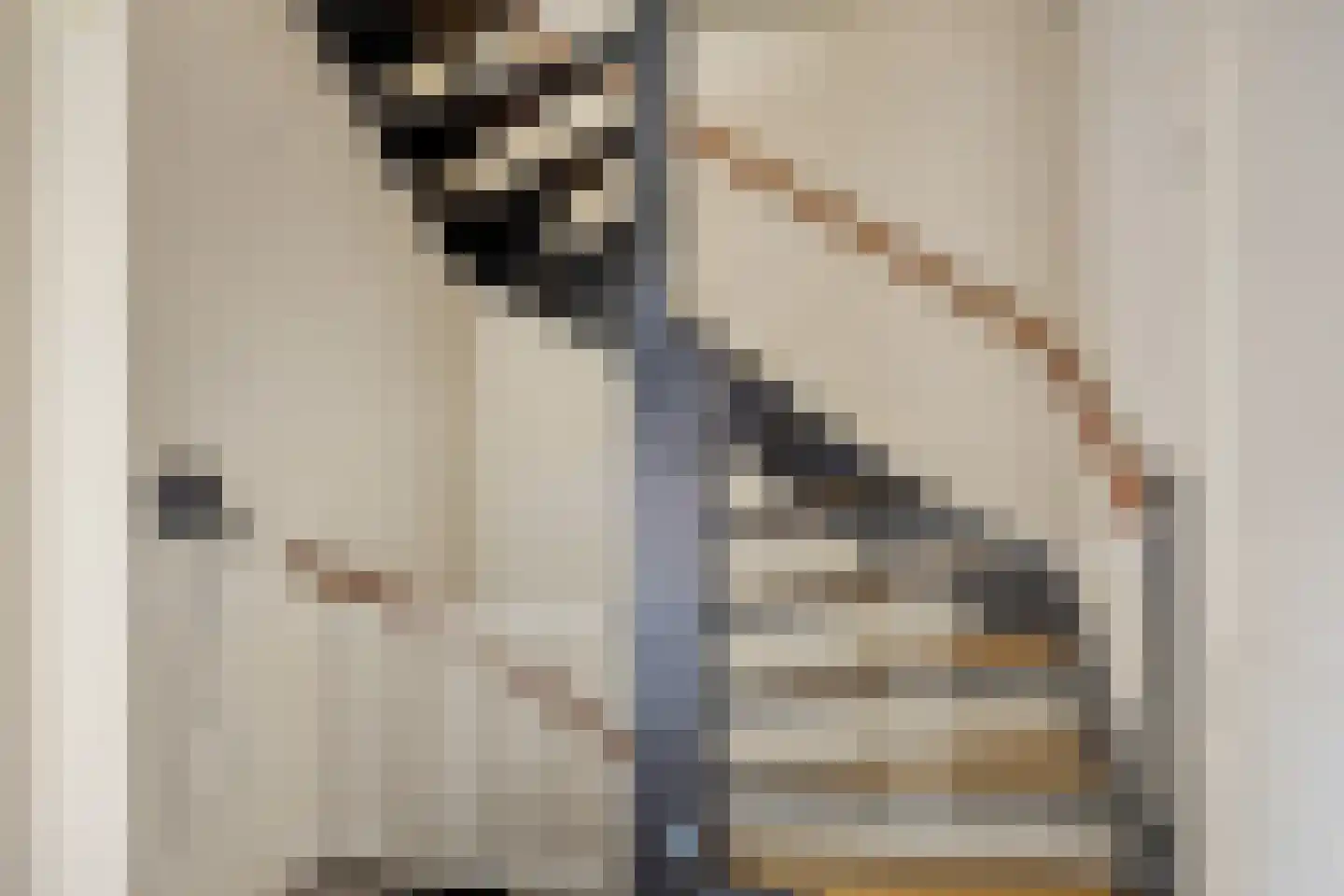 Eufraatstraat 4 Spijkenisse thumbnail 43