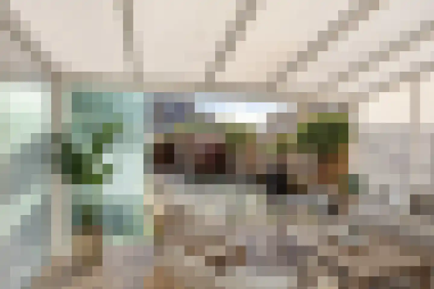 Eufraatstraat 4 Spijkenisse thumbnail 55