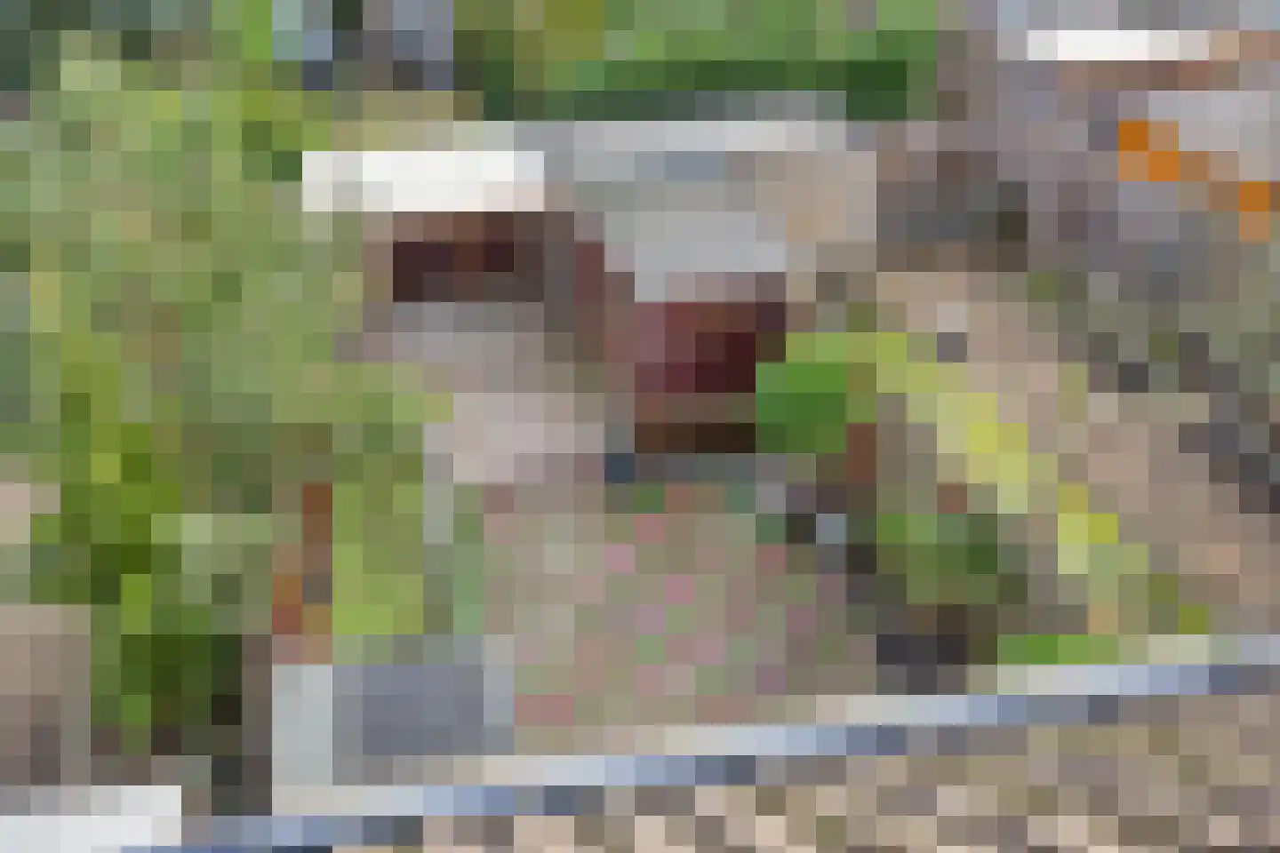 Eufraatstraat 4 Spijkenisse thumbnail 56